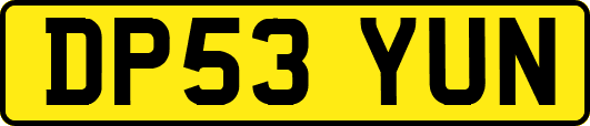 DP53YUN