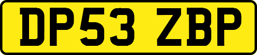 DP53ZBP