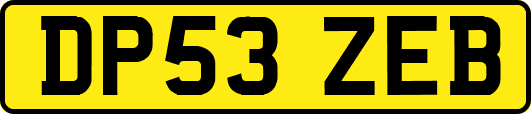 DP53ZEB