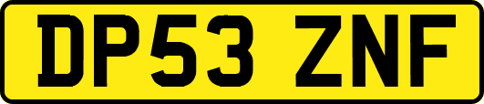 DP53ZNF