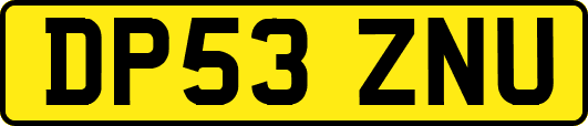 DP53ZNU