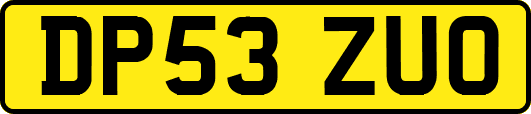 DP53ZUO