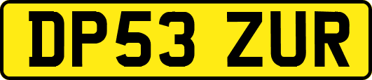 DP53ZUR