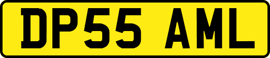 DP55AML