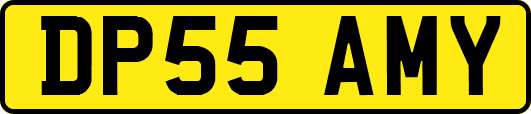 DP55AMY
