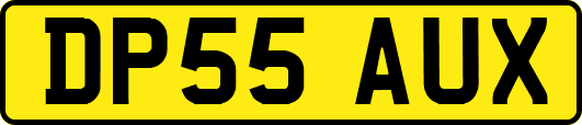 DP55AUX