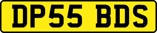 DP55BDS