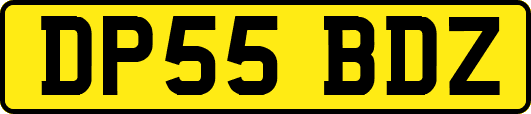DP55BDZ