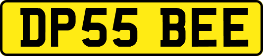 DP55BEE