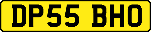 DP55BHO
