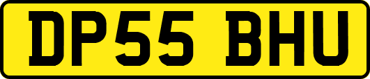 DP55BHU