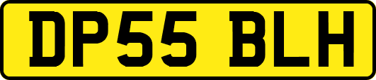 DP55BLH