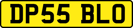 DP55BLO