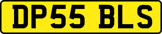 DP55BLS