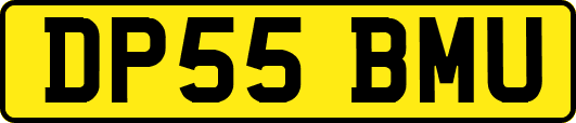 DP55BMU