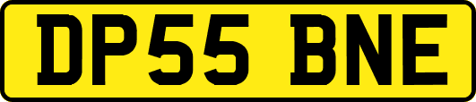 DP55BNE