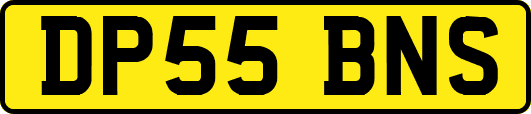 DP55BNS