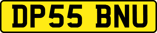 DP55BNU