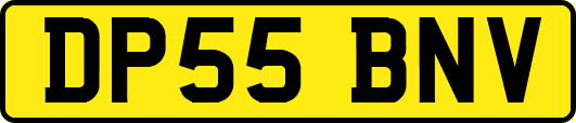 DP55BNV
