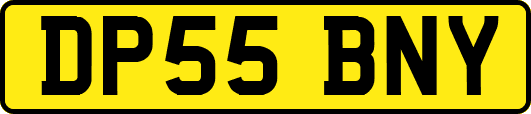 DP55BNY