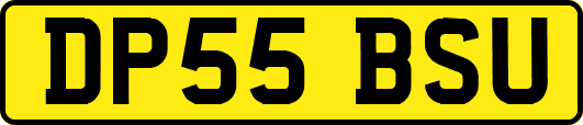 DP55BSU