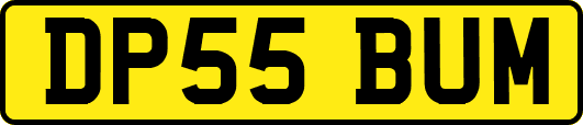 DP55BUM