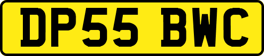 DP55BWC