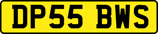DP55BWS