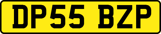 DP55BZP