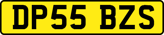 DP55BZS