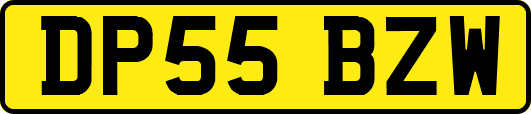 DP55BZW