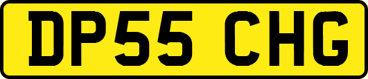 DP55CHG