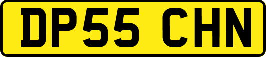 DP55CHN