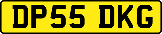 DP55DKG