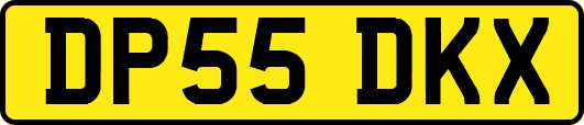 DP55DKX