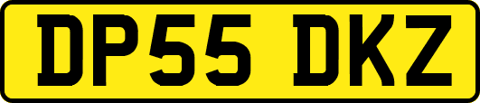 DP55DKZ