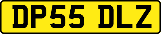 DP55DLZ