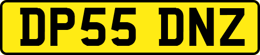 DP55DNZ