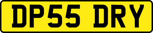 DP55DRY