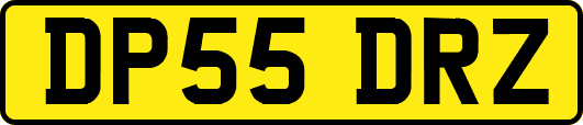 DP55DRZ