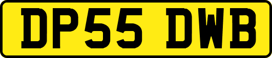 DP55DWB