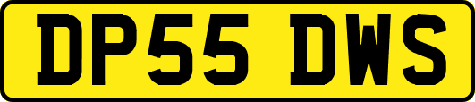 DP55DWS