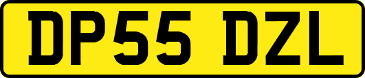 DP55DZL