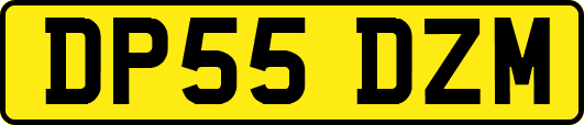 DP55DZM