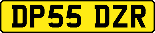 DP55DZR