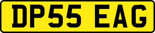 DP55EAG