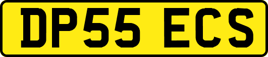 DP55ECS