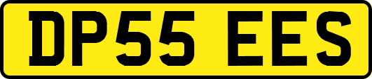 DP55EES