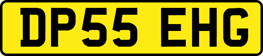 DP55EHG