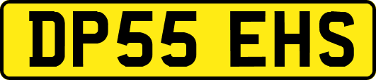 DP55EHS